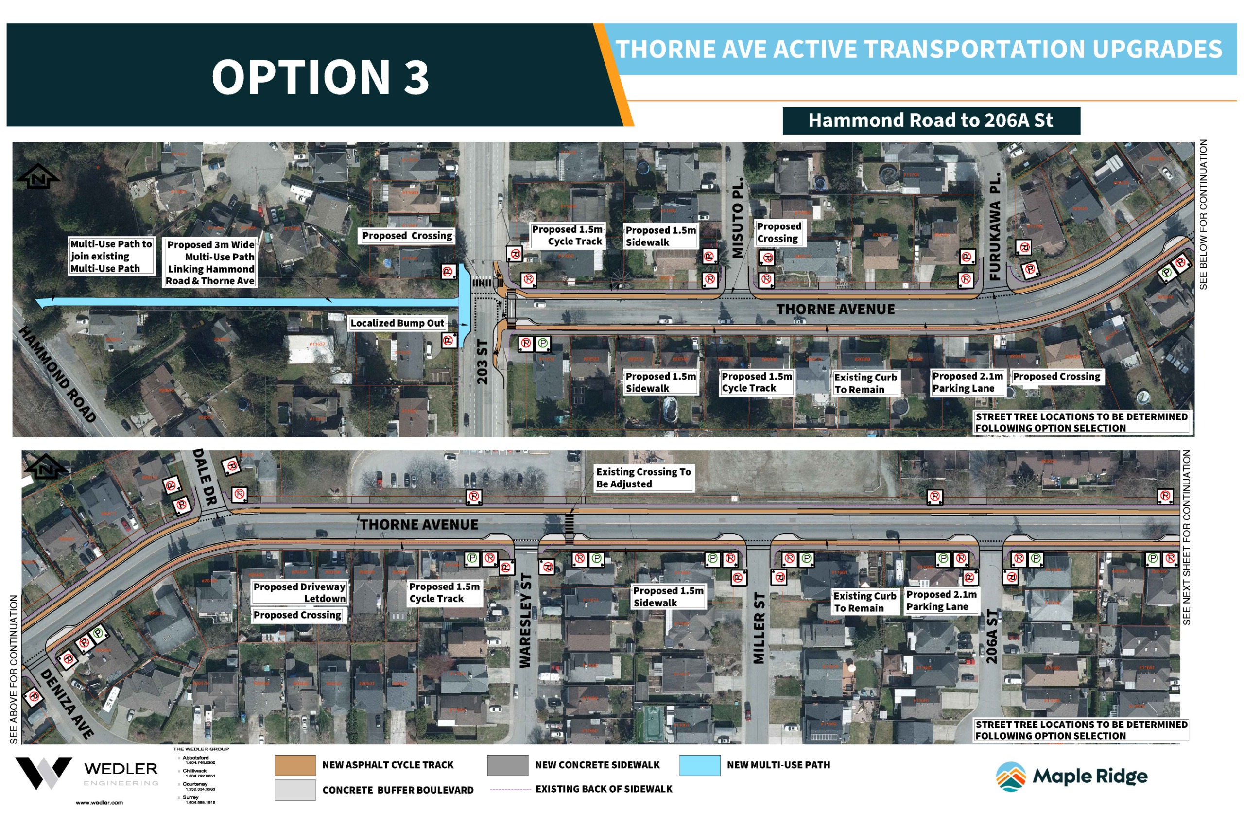 Thorne option 3